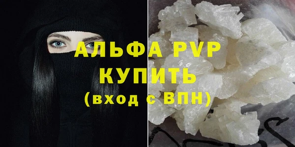 хмурый Абаза