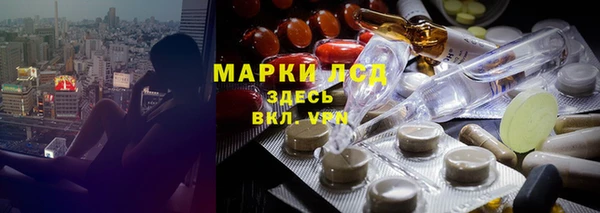 хмурый Абаза