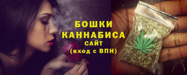 прущие грибы Абдулино