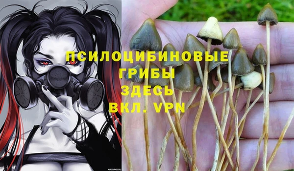 хмурый Остров