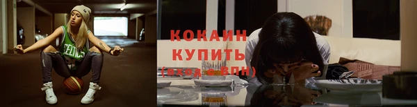 хмурый Абаза
