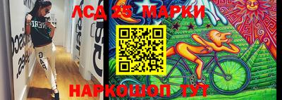 spice Славгород