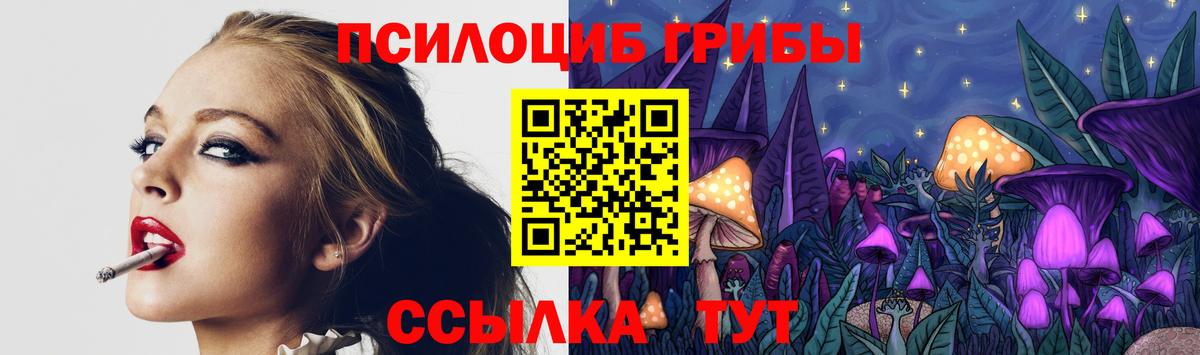 Сафоново  Псилоцибиновые грибы Psilocybine cubensis  Вход с VPN 